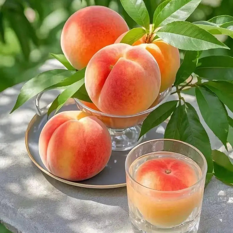 🔥 65K+ SOLD! 🍑 Heirloom "Honey Red" Dwarf Peach Seeds – Rare Red-Flesh Variety, Dwarf Container Friendly & Year-Round Planting 🌿