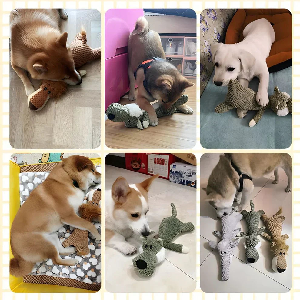 Das Original InvinciPups Robuste Kauspielzeug