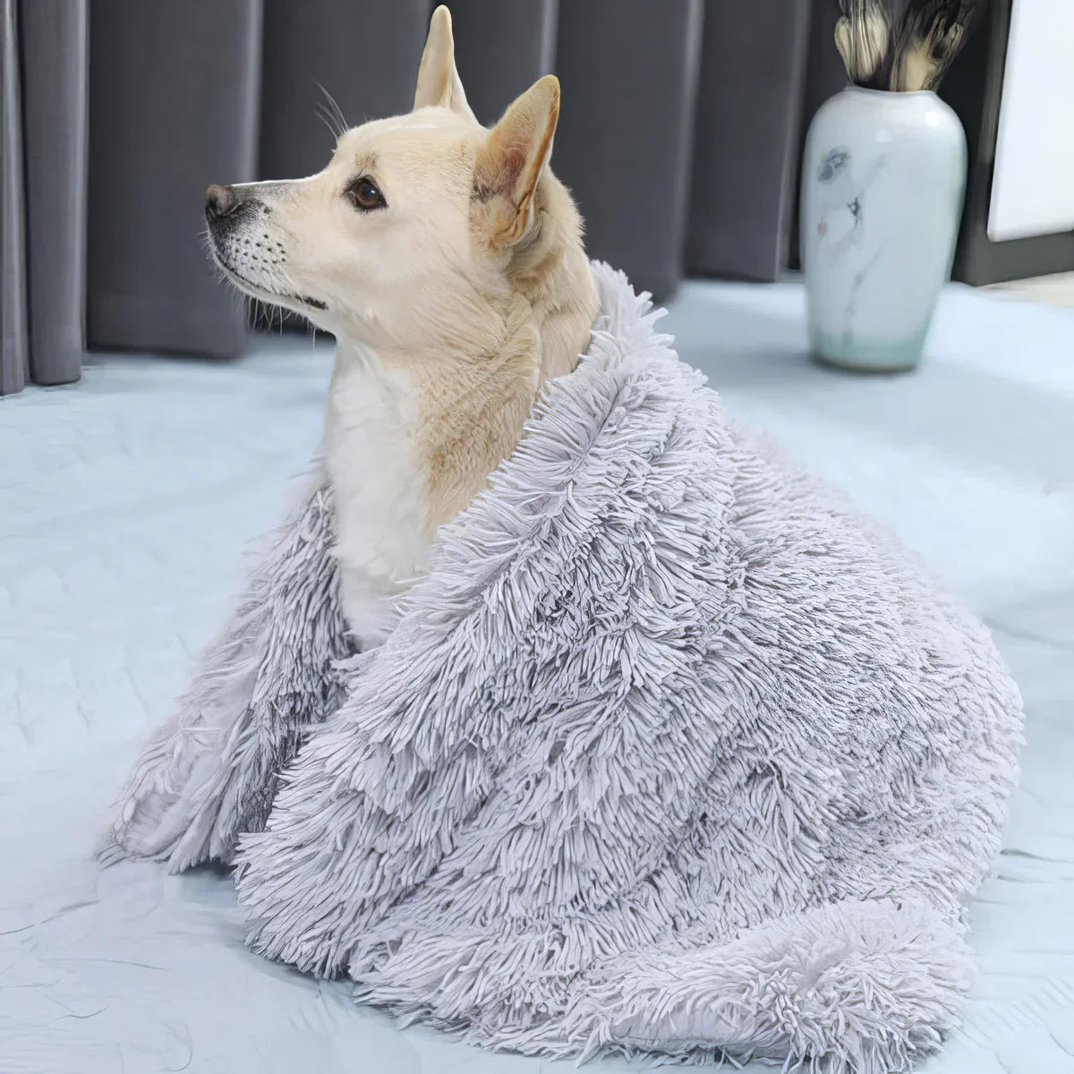 Fluffy Pet Blanket