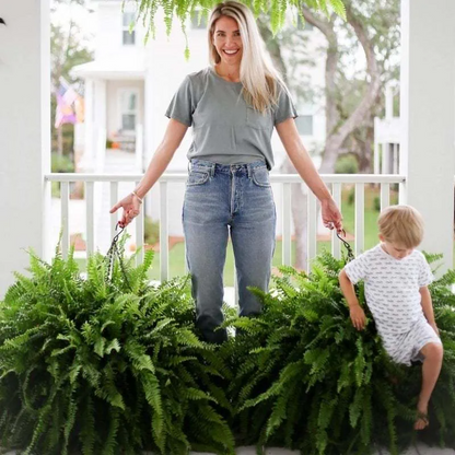 🌱 UV-Resistant Lifelike Artificial Boston Fern
