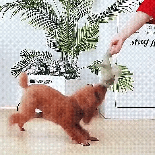 Das Original InvinciPups Robuste Kauspielzeug