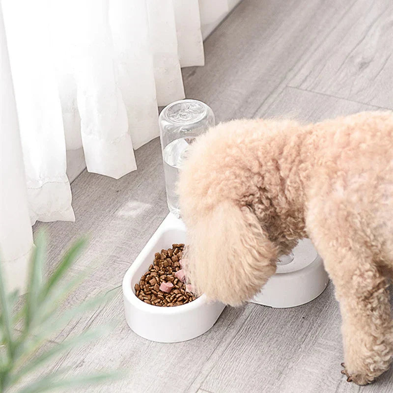 Automatic Pet Feeder and Water Dispenser