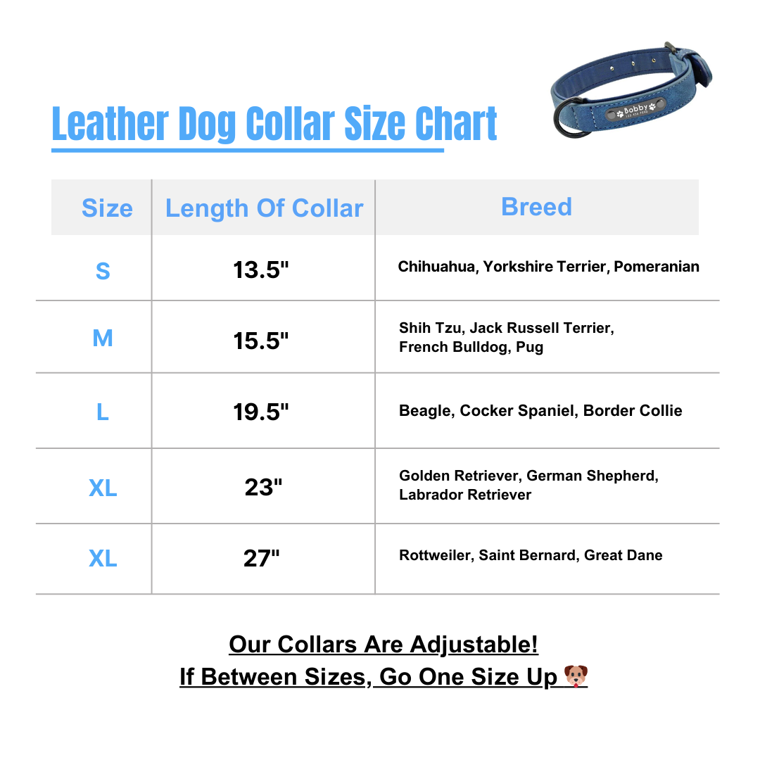 Personalisiertes Hundehalsband aus Leder