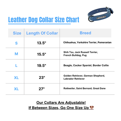 Personalisiertes Hundehalsband aus Leder