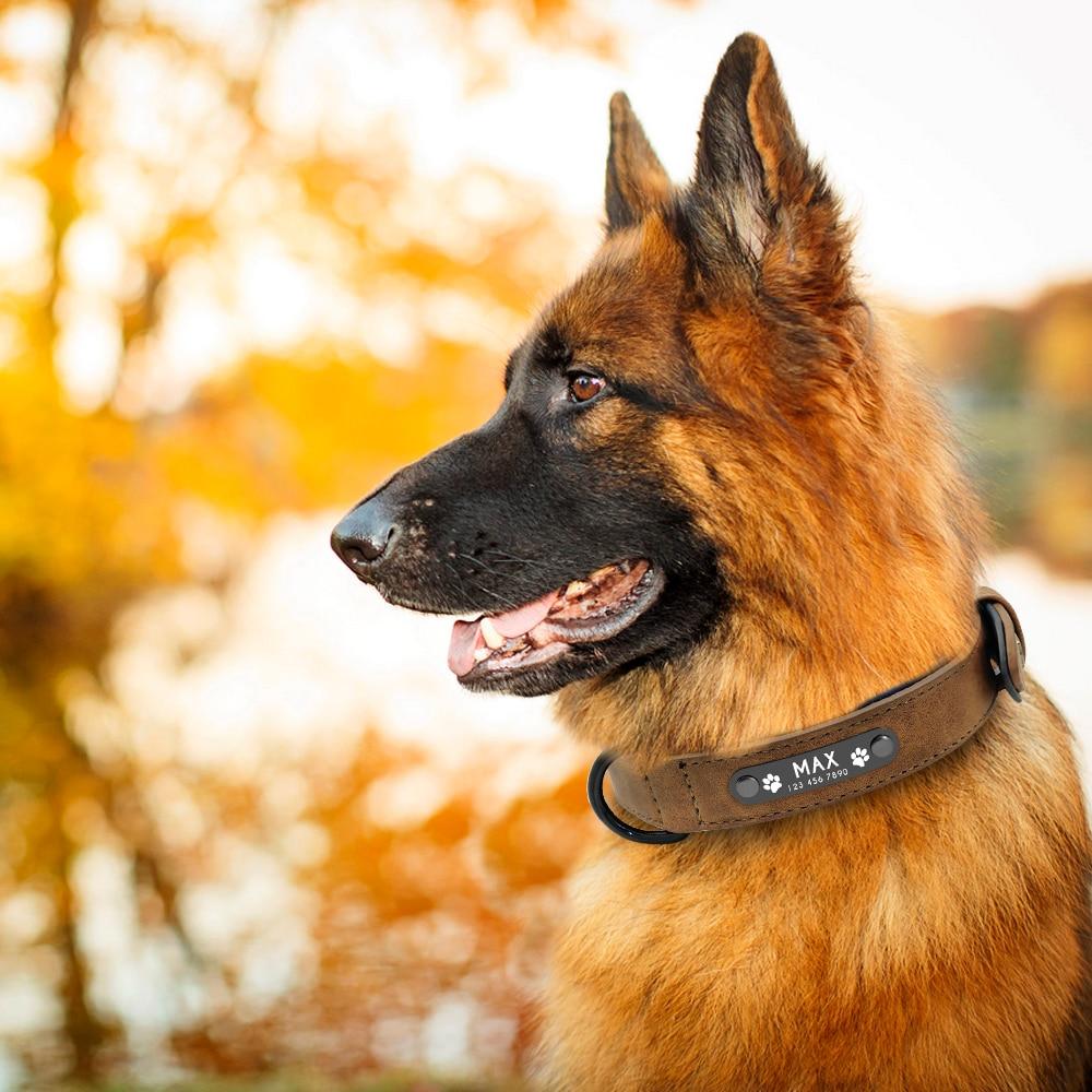 Personalisiertes Hundehalsband aus Leder