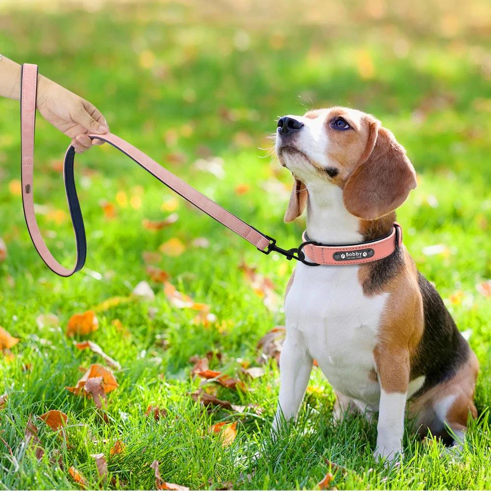 Personalisiertes Hundehalsband aus Leder