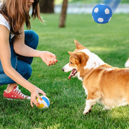 Interactive Latex Squeaky Sports Ball for Dogs